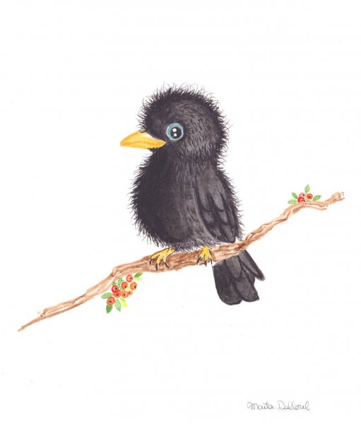 Ворон и Воронята