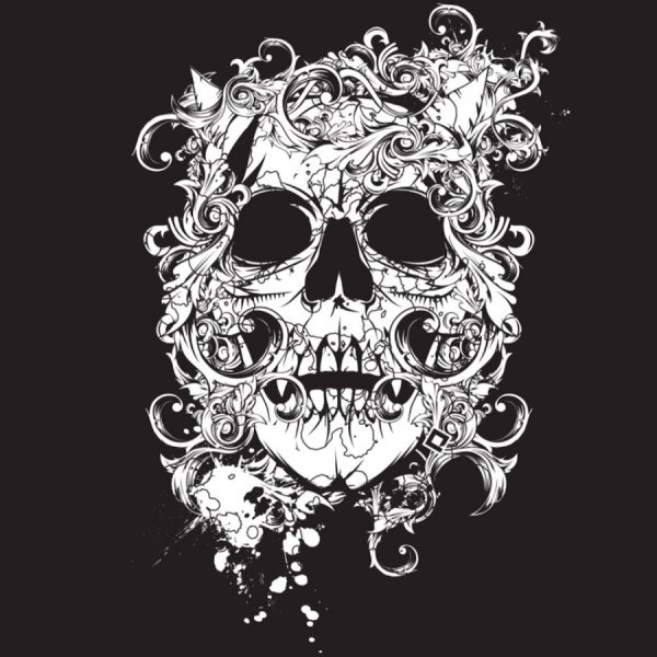 Череп черно белый