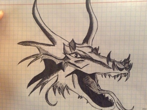 Дракон черной ручкой