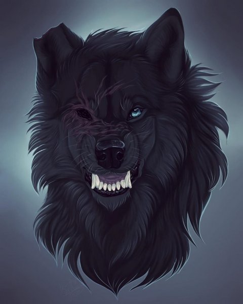 Волк крутой арт