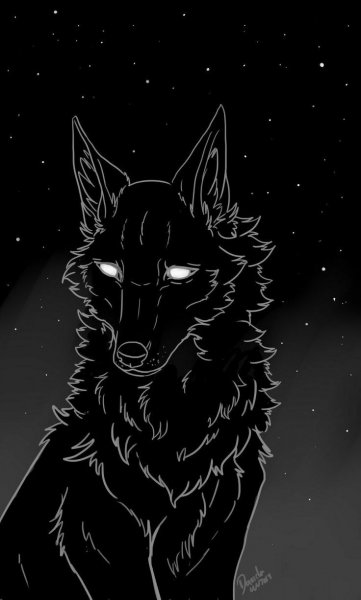 Блэк Вольф арт волка