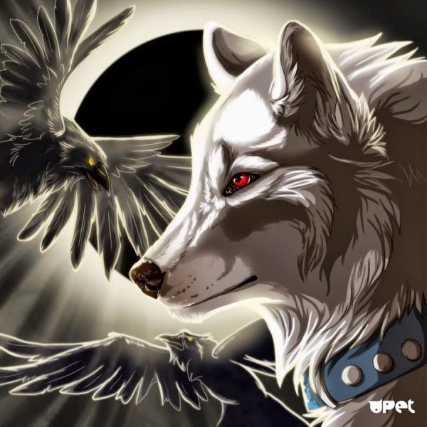 Злая волчица арт