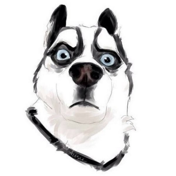 Собака в очках для срисовки