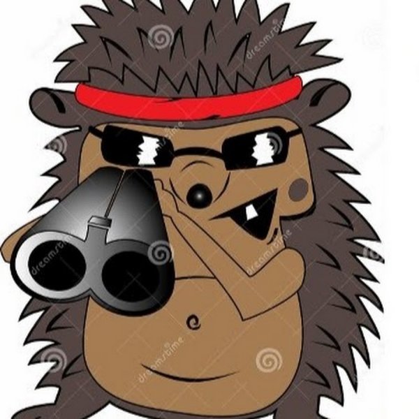 Боевые ежики