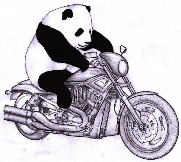 Медведь на мотоцикле арт