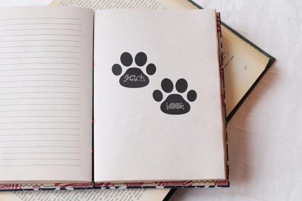 Рисунки в блокнот легкие и красивые