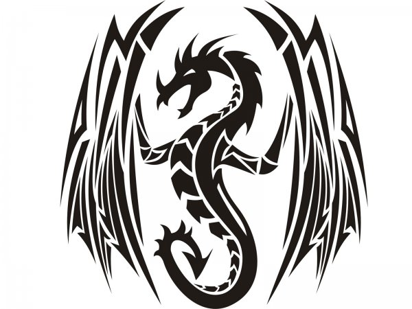 Трайбл тату мужские дракон