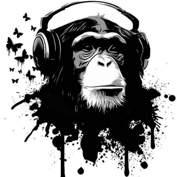 Крутая обезьяна