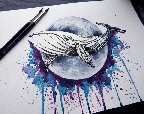 Кит акварелью скетч