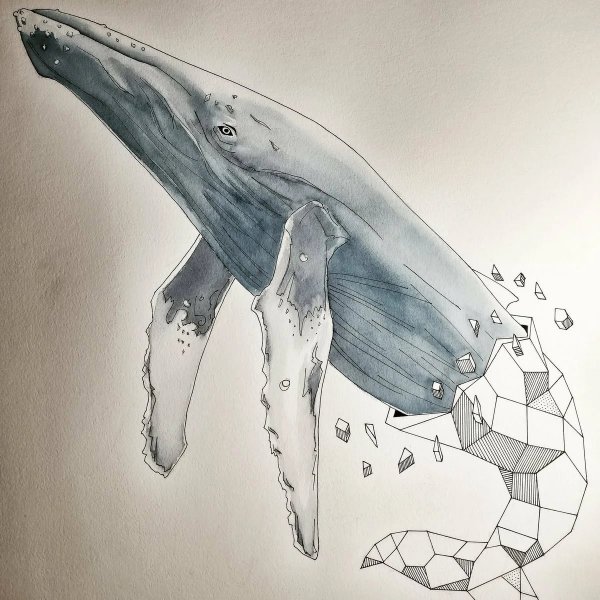 Кит рисунок
