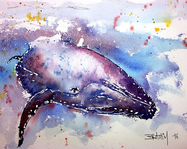 Кит красками