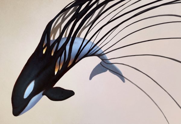 Касатка арт