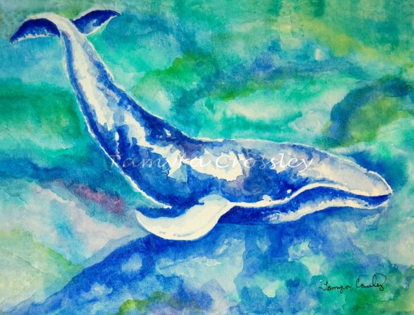 Кит нарисоваг