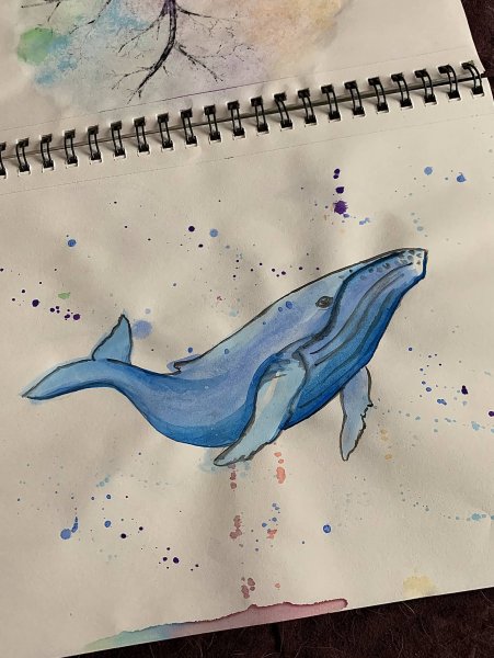 Кит рисунок прикольный