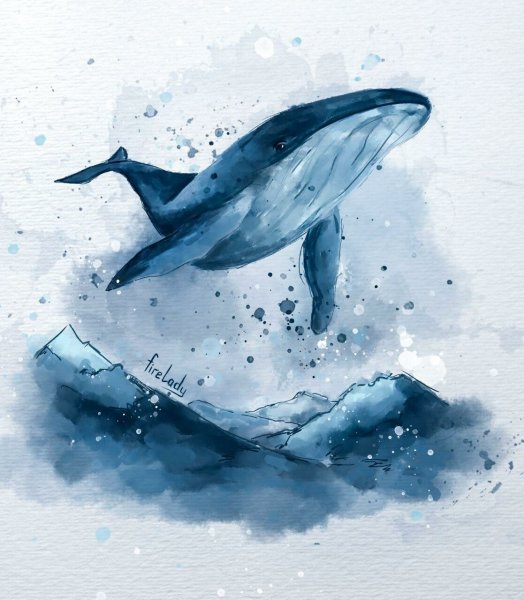 Кит арт карандашом