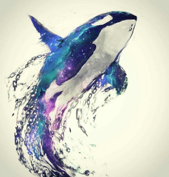 Стилизованная Касатка