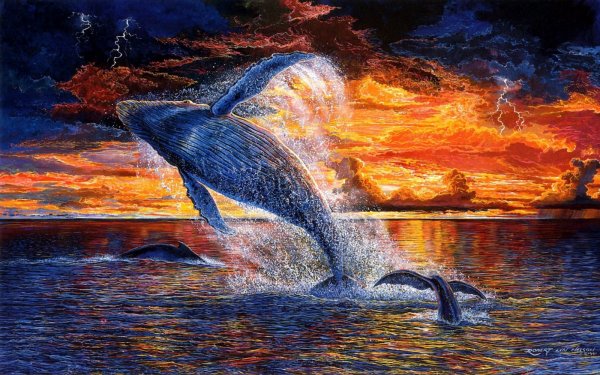 Живопись дельфины на закате