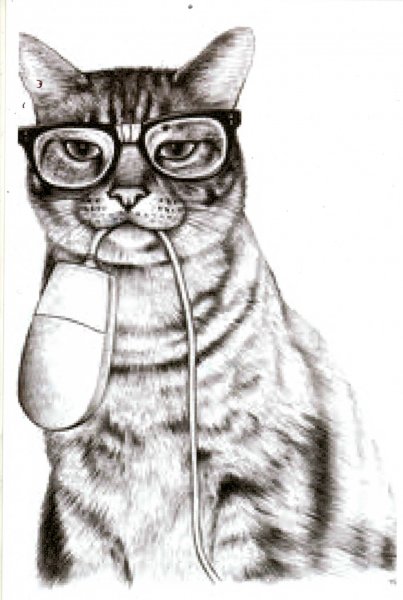 Крутые рисунки котов