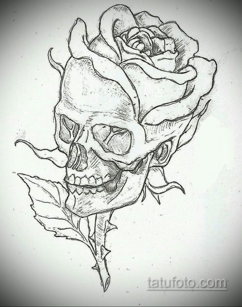 Череп эскиз