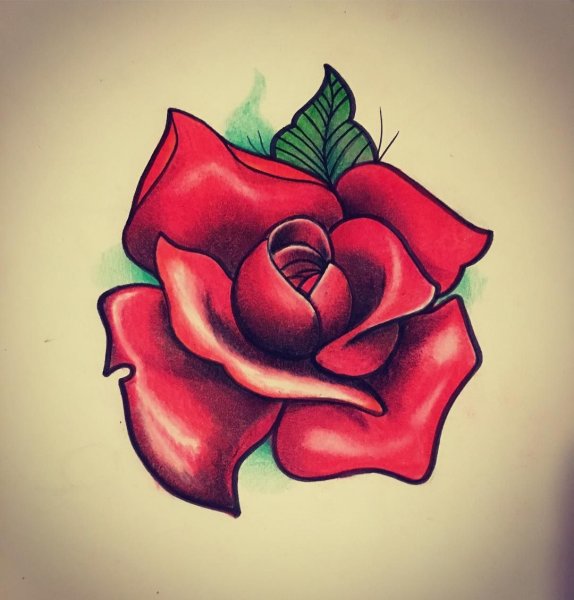 Татуировки розы эскизы цветные