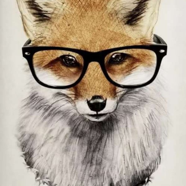 Лис мультяшный в очках