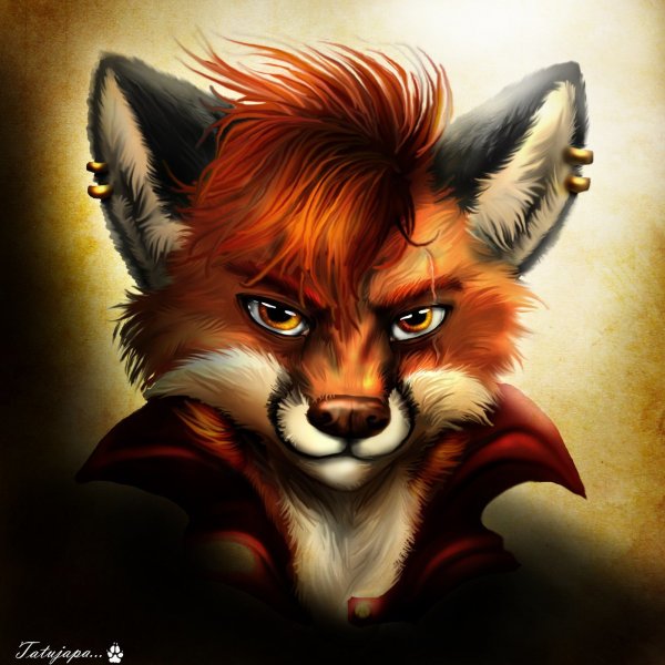 Лиса на аву