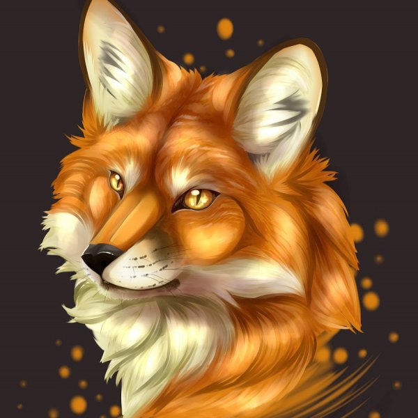 Красивый арт лисы