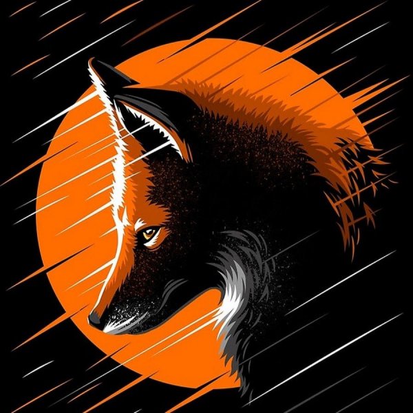 Лисица на черном фоне