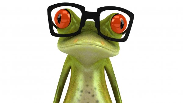 Жаба в очках