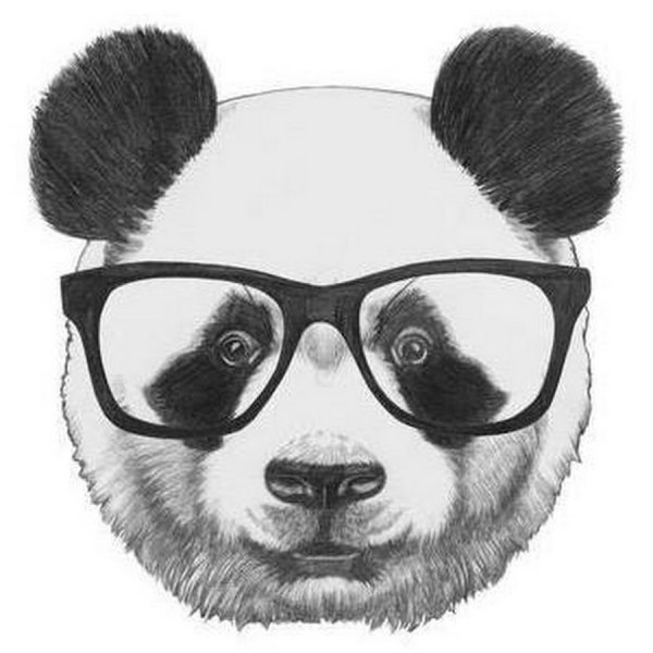 Модная Панда в очках