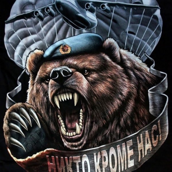 Медведь десантник