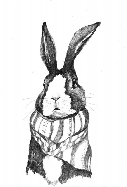 Зайчик в графике