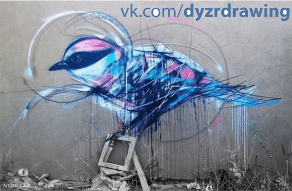 Граффити птицы