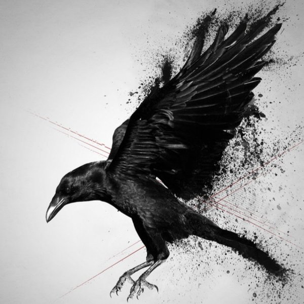 Ворон летит