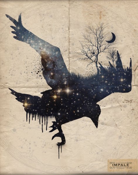 Необычный ворон арт