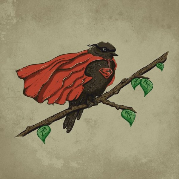 Птица Соловей арты