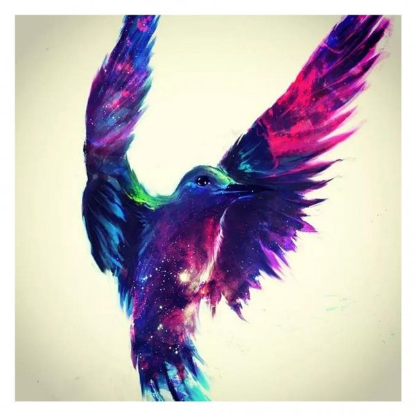 Красивая птичка арт