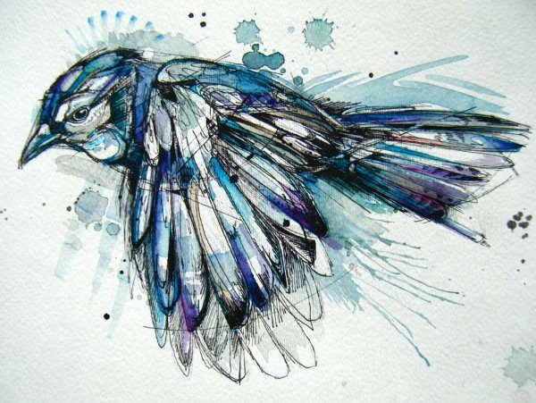 Птица линером