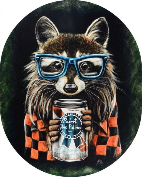 Крутой енот