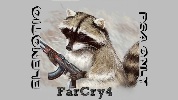 Боевой енот