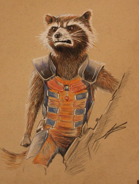 Енот цветными карандашами