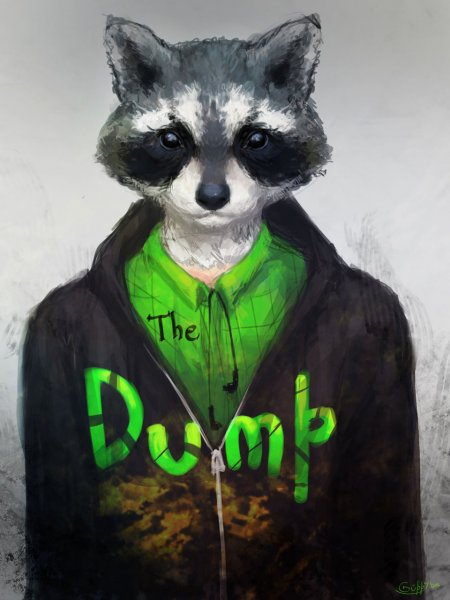 Енот на аву