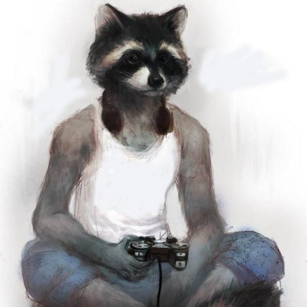 Человек енот