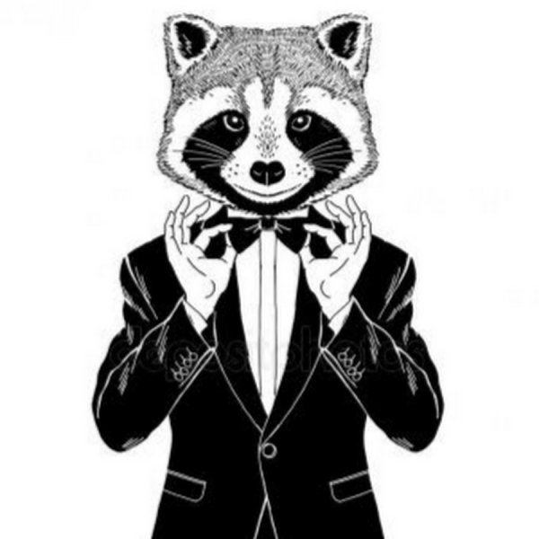 Енот в пиджаке