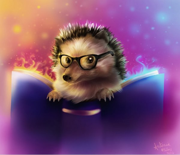 Ежик фэнтези