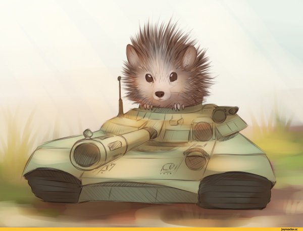 Ежик военный