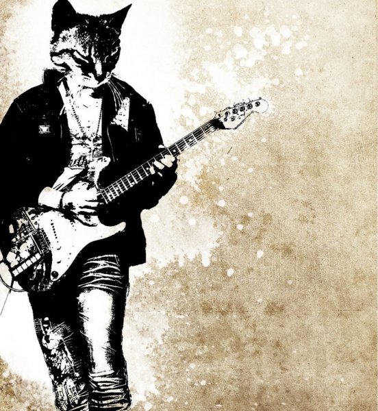 Кошка с гитарой