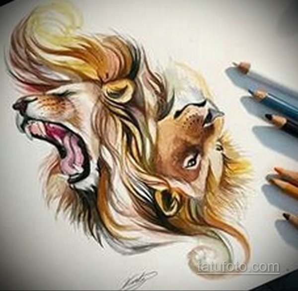 Иллюстрации Кэти Липскомб