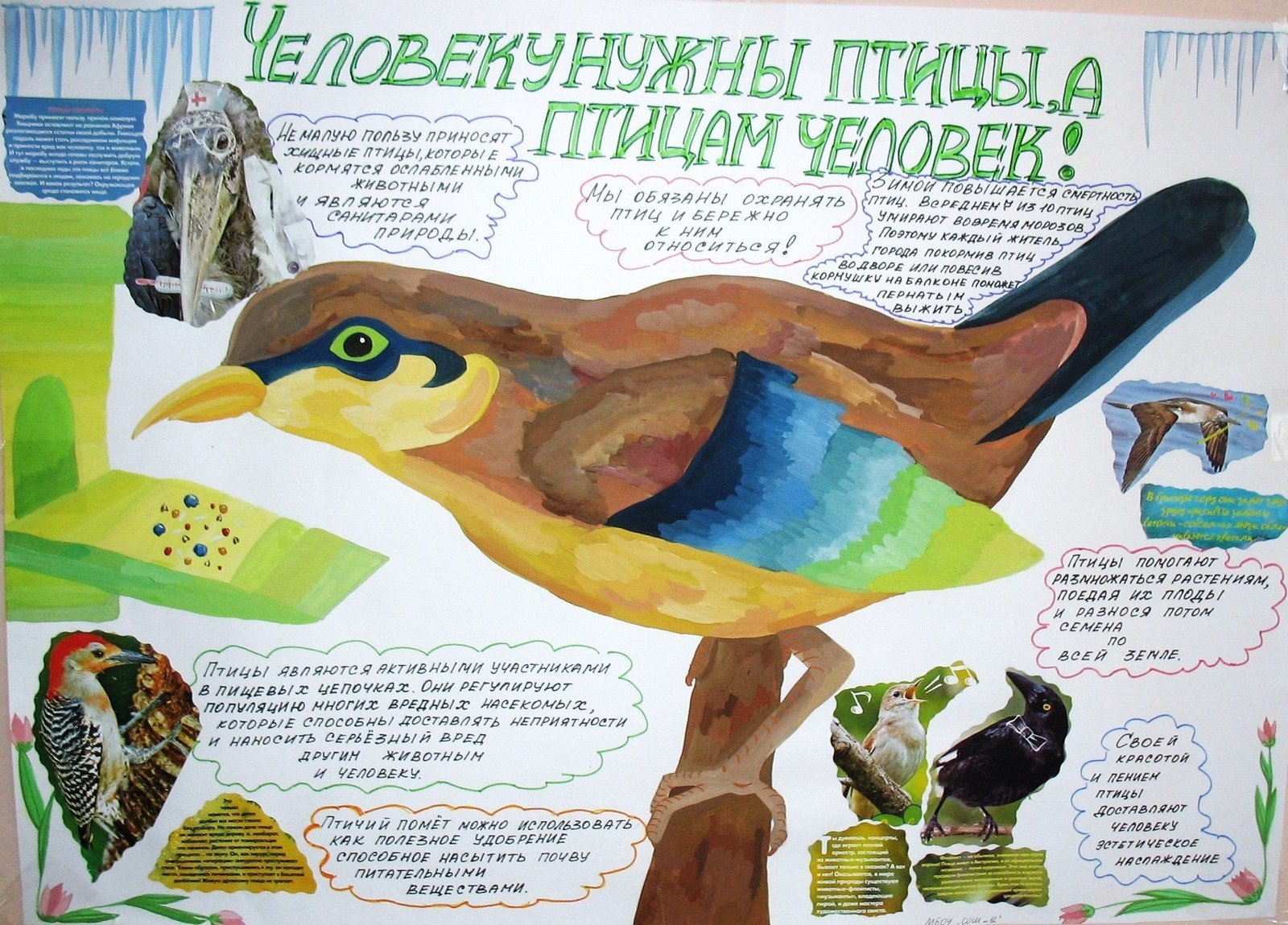 Плакат Защитим птиц