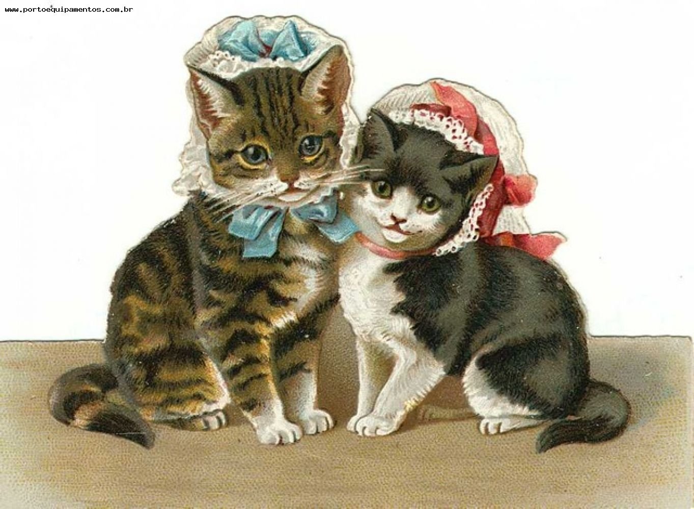 Винтажные открытки с котятами
